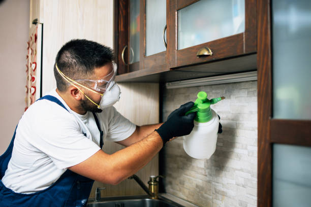 Best Mosquito Control Services  in Auberry, CA