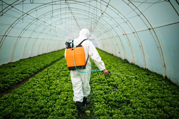 Auberry, CA Pest Control Company
