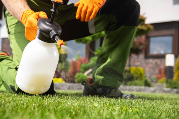 Best Pest Inspection Near Me  in Auberry, CA
