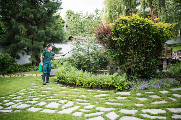 Best Exterminator Services  in Auberry, CA