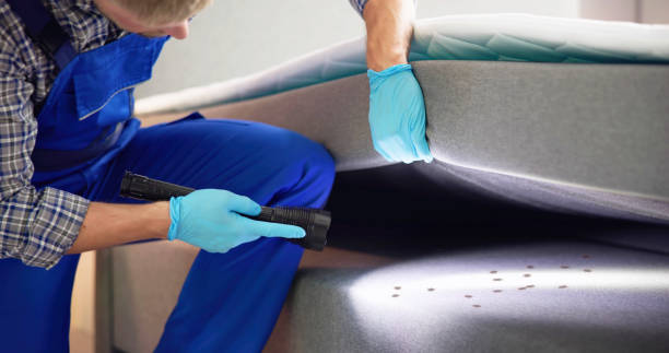 Best Affordable Pest Control Services  in Auberry, CA