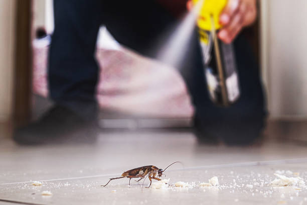 Best Ant Control Services  in Auberry, CA