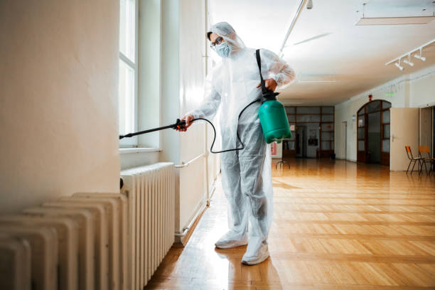 Best Rat Extermination Near Me  in Auberry, CA