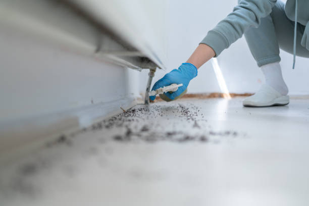 Best Residential Pest Control  in Auberry, CA