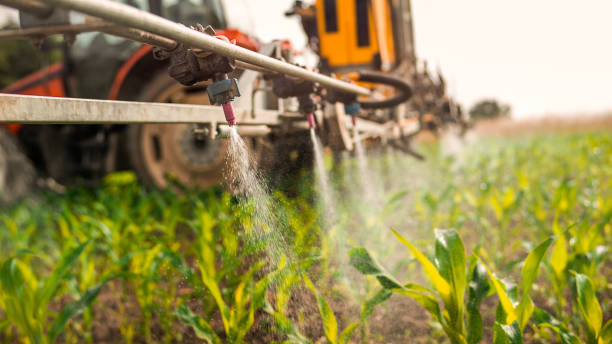 Best Pest Control for Businesses  in Auberry, CA